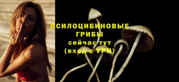 герыч Нефтегорск