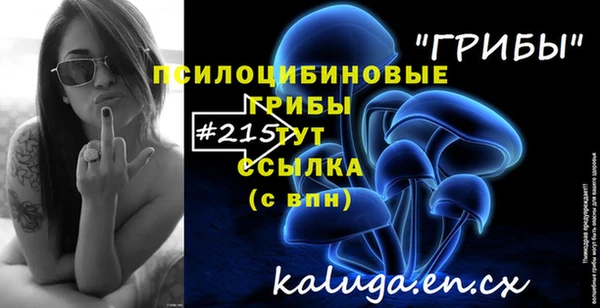 PSILOCYBIN Нея