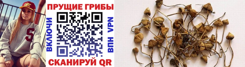 Галлюциногенные грибы Magic Shrooms  Инта 