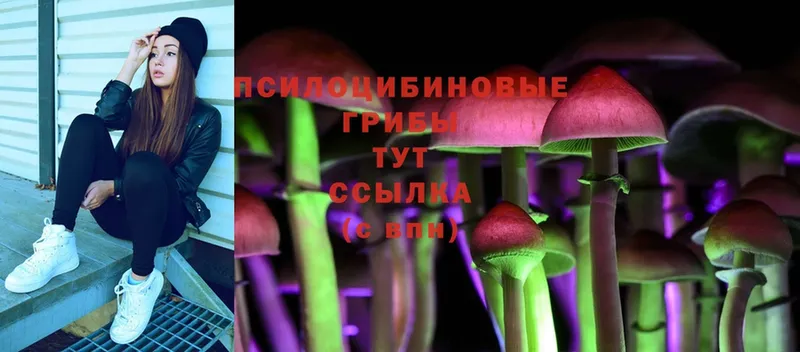 купить наркотик  Инта  hydra ССЫЛКА  Галлюциногенные грибы Cubensis 